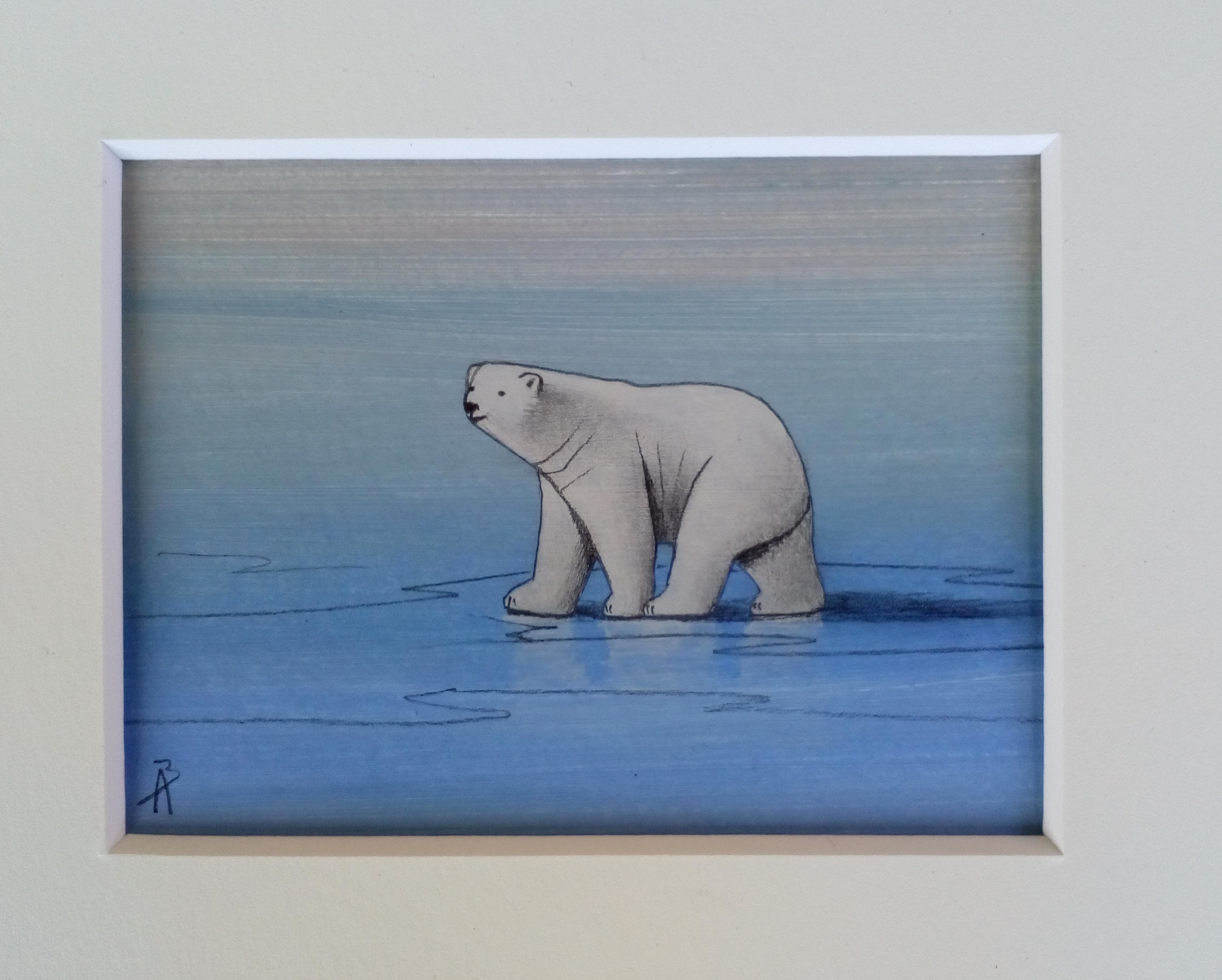 Svalbard - Polar Bears